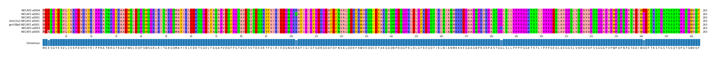 Multiple Alignments (by translate haplotype similarity)