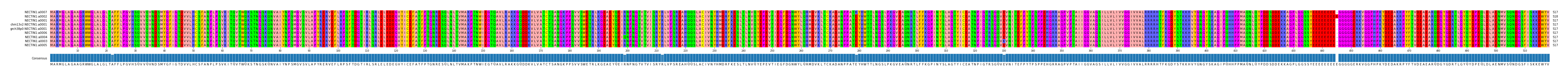 Multiple Alignments (by translate haplotype similarity)