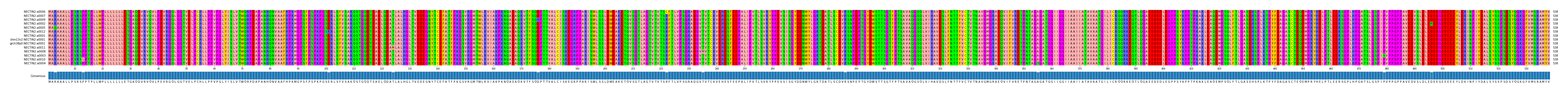 Multiple Alignments (by translate haplotype similarity)
