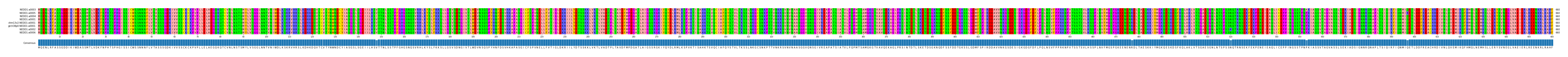 Multiple Alignments (by translate haplotype similarity)