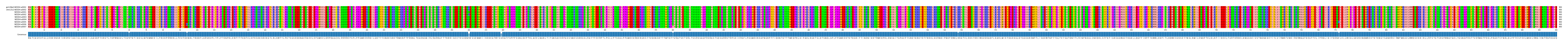 Multiple Alignments (by translate haplotype frequency)