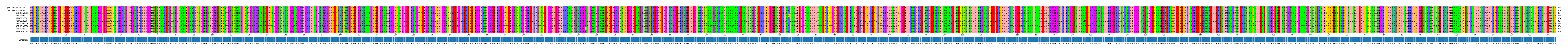 Multiple Alignments (by translate haplotype frequency)