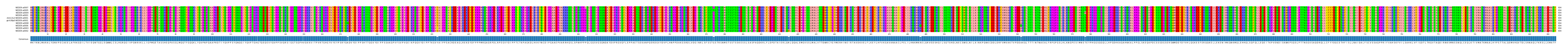Multiple Alignments (by translate haplotype similarity)