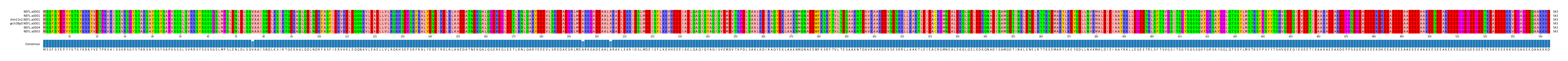 Multiple Alignments (by translate haplotype similarity)