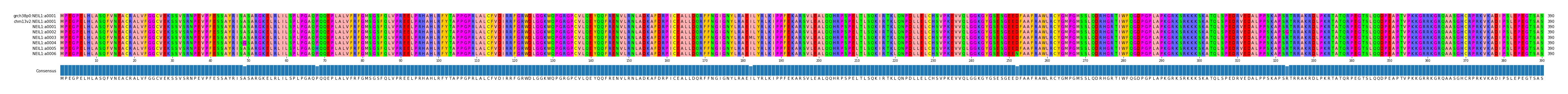 Multiple Alignments (by translate haplotype frequency)