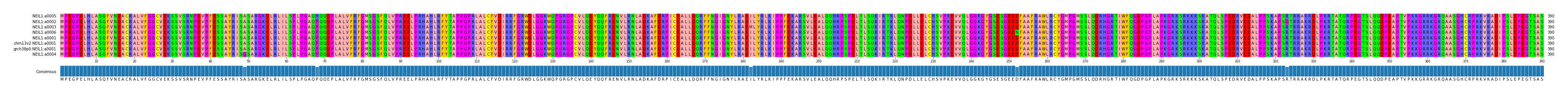 Multiple Alignments (by translate haplotype similarity)