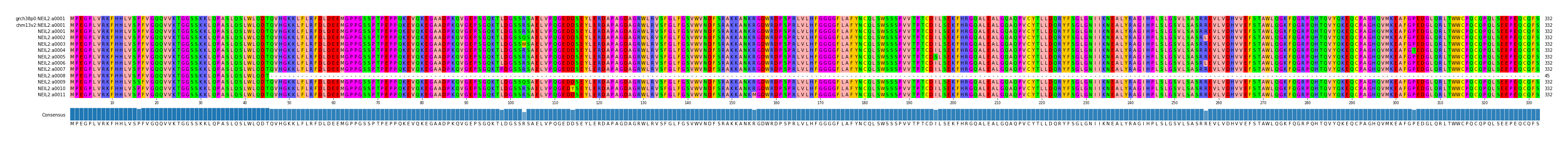 Multiple Alignments (by translate haplotype frequency)