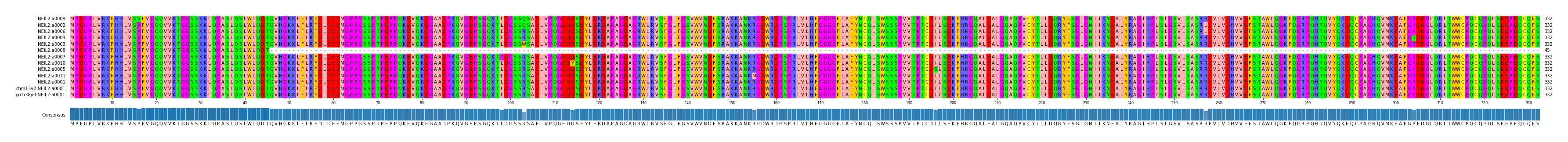Multiple Alignments (by translate haplotype similarity)