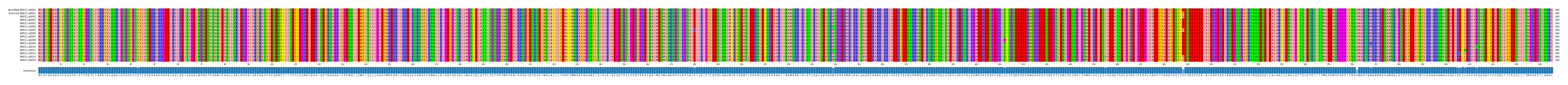 Multiple Alignments (by translate haplotype frequency)