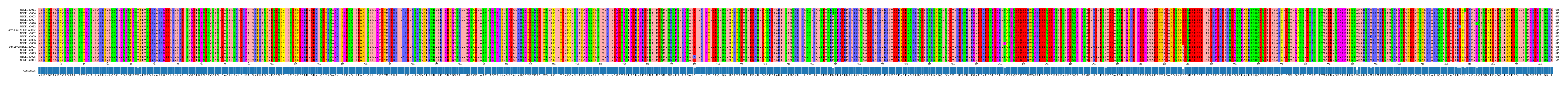 Multiple Alignments (by translate haplotype similarity)