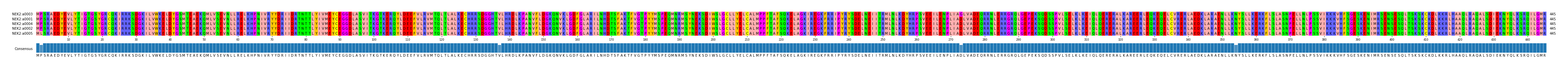 Multiple Alignments (by translate haplotype similarity)