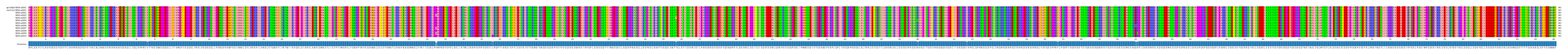 Multiple Alignments (by translate haplotype frequency)
