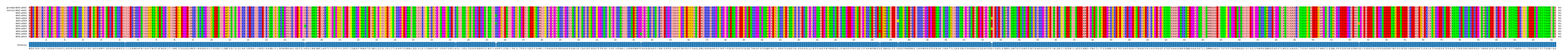 Multiple Alignments (by translate haplotype frequency)