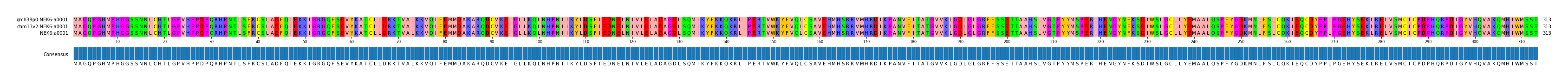 Multiple Alignments (by translate haplotype similarity)