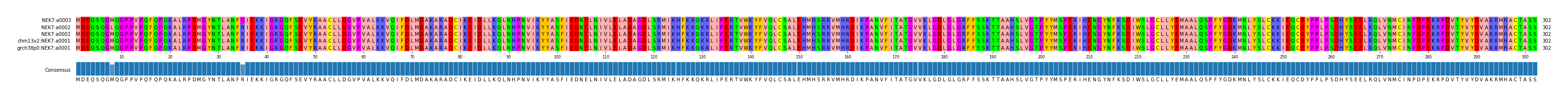 Multiple Alignments (by translate haplotype similarity)