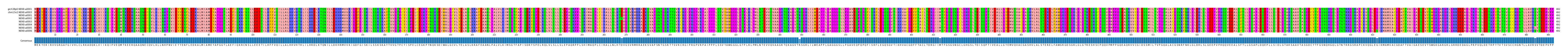 Multiple Alignments (by translate haplotype frequency)