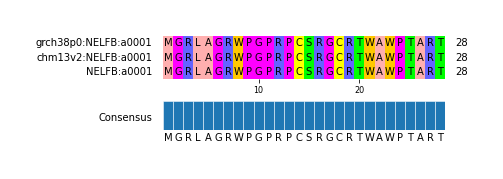 Multiple Alignments (by translate haplotype similarity)
