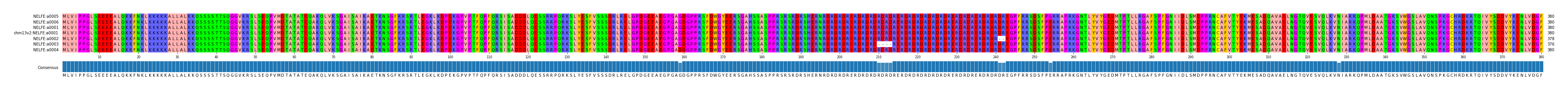 Multiple Alignments (by translate haplotype similarity)