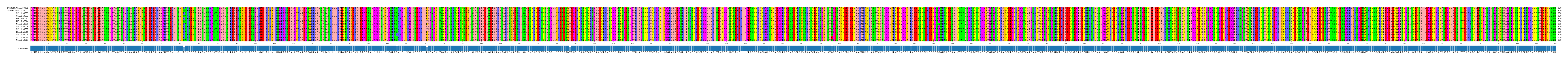 Multiple Alignments (by translate haplotype frequency)