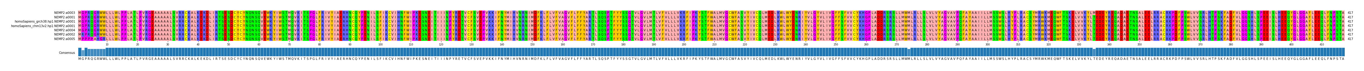 Multiple Alignments (by translate haplotype similarity)