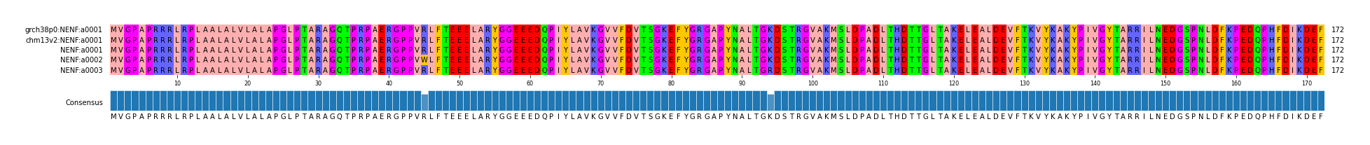 Multiple Alignments (by translate haplotype frequency)