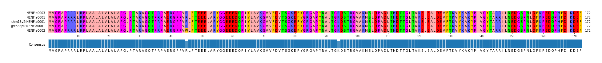 Multiple Alignments (by translate haplotype similarity)