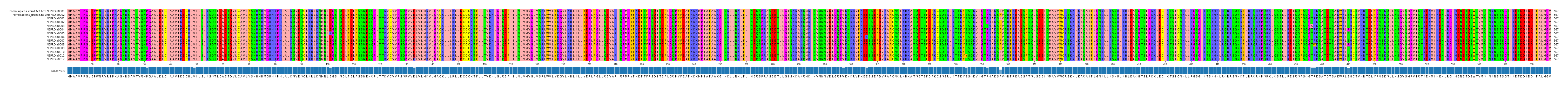 Multiple Alignments (by translate haplotype frequency)