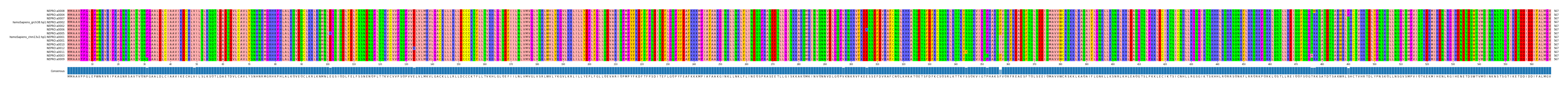 Multiple Alignments (by translate haplotype similarity)