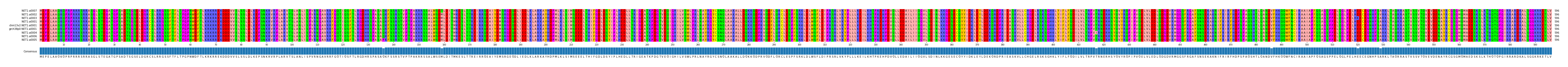 Multiple Alignments (by translate haplotype similarity)