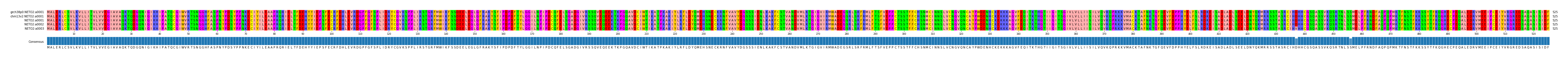 Multiple Alignments (by translate haplotype frequency)