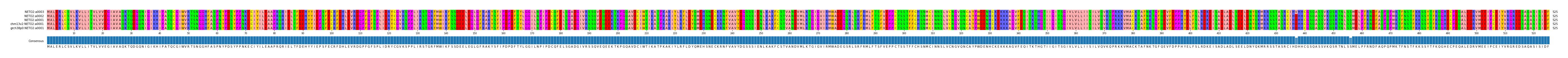 Multiple Alignments (by translate haplotype similarity)
