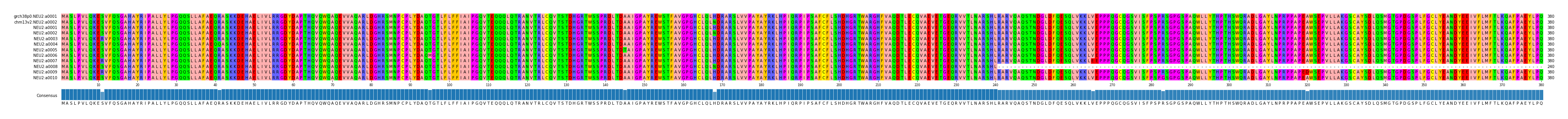 Multiple Alignments (by translate haplotype frequency)