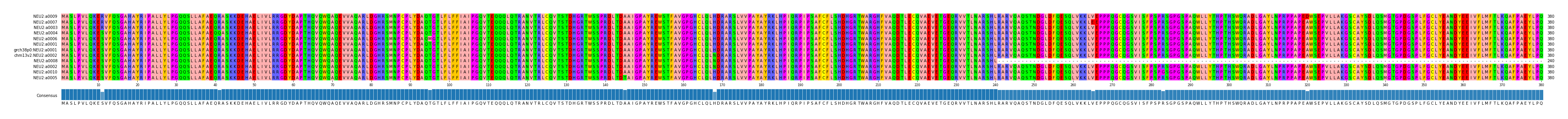 Multiple Alignments (by translate haplotype similarity)