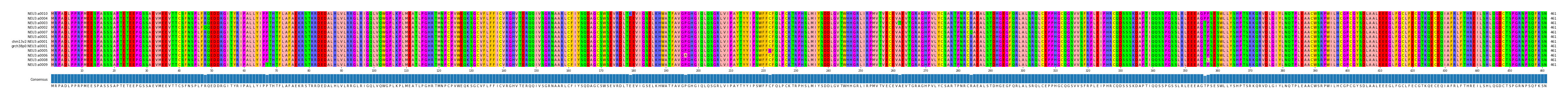 Multiple Alignments (by translate haplotype similarity)