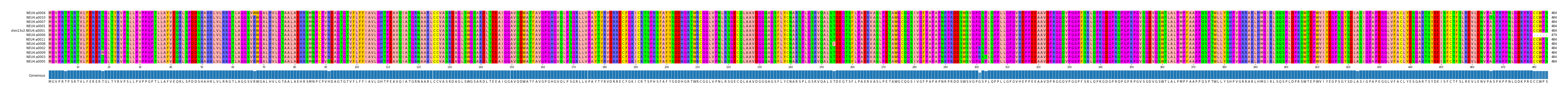 Multiple Alignments (by translate haplotype similarity)