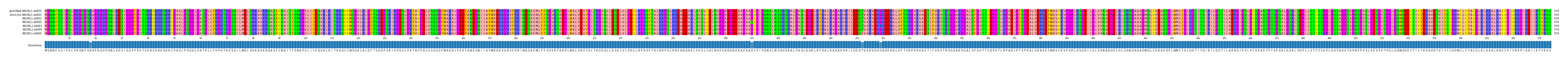 Multiple Alignments (by translate haplotype frequency)