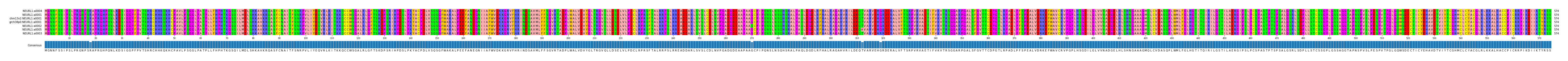 Multiple Alignments (by translate haplotype similarity)