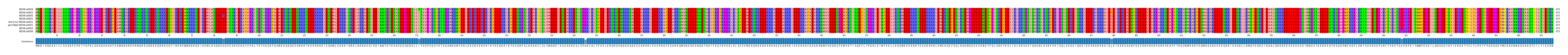 Multiple Alignments (by translate haplotype similarity)
