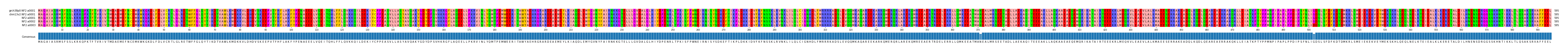 Multiple Alignments (by translate haplotype frequency)