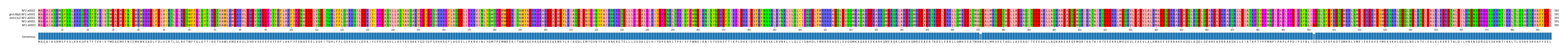Multiple Alignments (by translate haplotype similarity)