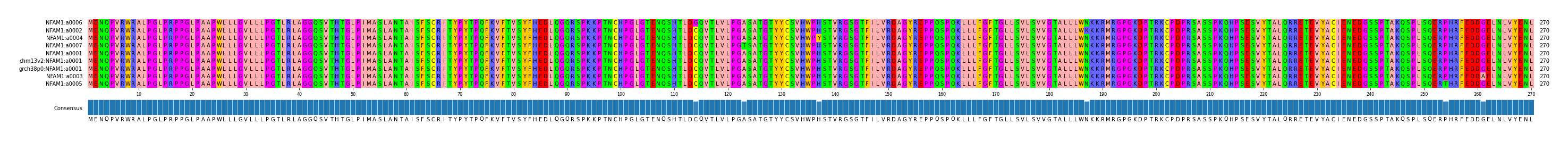Multiple Alignments (by translate haplotype similarity)