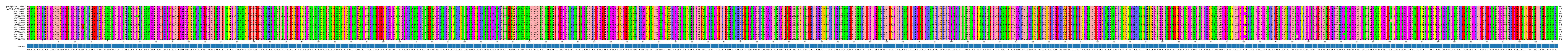 Multiple Alignments (by translate haplotype frequency)