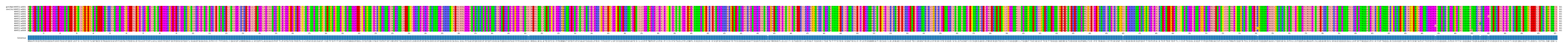 Multiple Alignments (by translate haplotype frequency)
