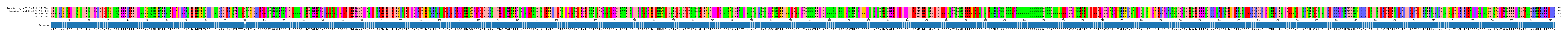 Multiple Alignments (by translate haplotype frequency)