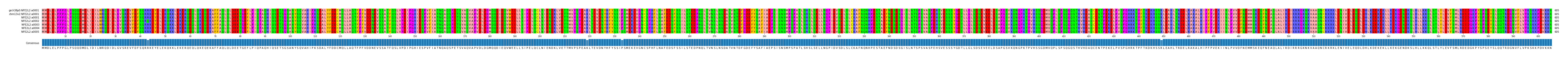 Multiple Alignments (by translate haplotype frequency)