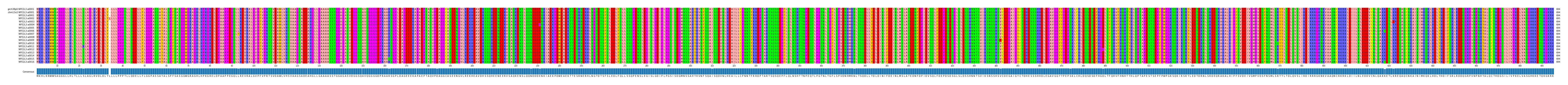Multiple Alignments (by translate haplotype frequency)
