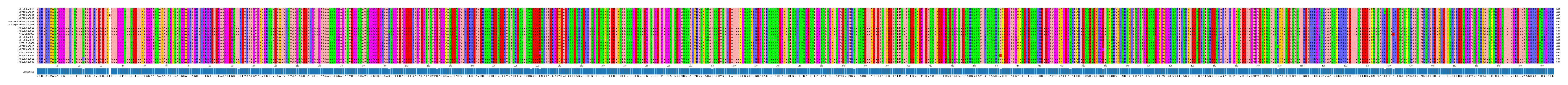 Multiple Alignments (by translate haplotype similarity)