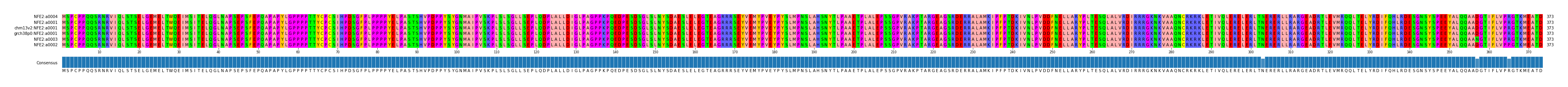 Multiple Alignments (by translate haplotype similarity)