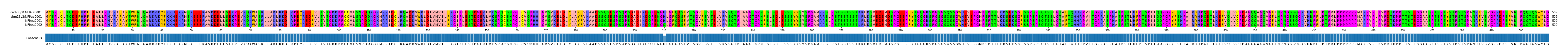 Multiple Alignments (by translate haplotype similarity)