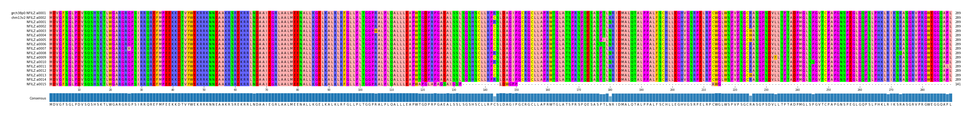 Multiple Alignments (by translate haplotype frequency)